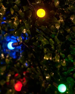 LINK UP LED Berry Lights, Black Cable, Multi Colour