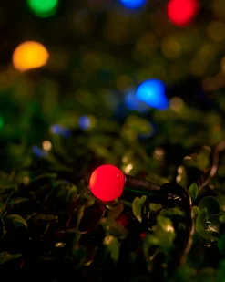 LINK UP LED Berry Lights, Black Cable, Multi Colour