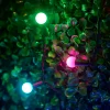 LINK UP LED Berry Lights, Black Cable, Pastel Multi Colour
