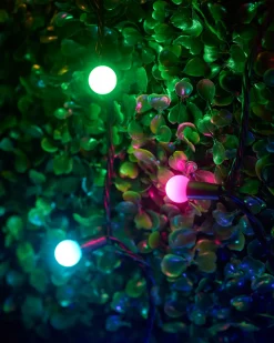 LINK UP LED Berry Lights, Black Cable, Pastel Multi Colour