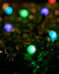 LINK UP LED Berry Lights, Black Cable, Pastel Multi Colour