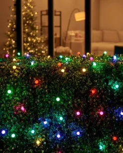 LINK UP LED Berry Lights, Black Cable, Pastel Multi Colour