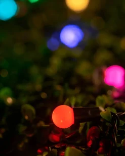 LINK UP LED Berry Lights, Black Cable, Pastel Multi Colour