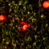 LINK UP LED Berry Lights, Black Cable, Red