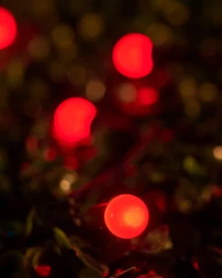 LINK UP LED Berry Lights, Black Cable, Red