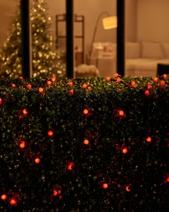 LINK UP LED Berry Lights, Black Cable, Red