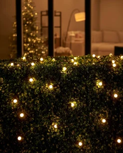 LINK UP LED Berry Lights, Black Cable, Warm White