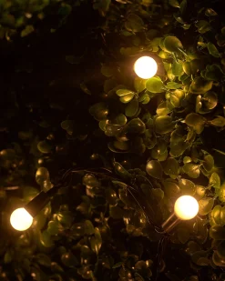 LINK UP LED Berry Lights, Black Cable, Warm White