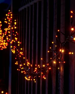 LINK UP LED Cluster Lights, Black Cable, Autumn Colour