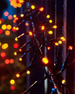 LINK UP LED Cluster Lights, Black Cable, Autumn Colour