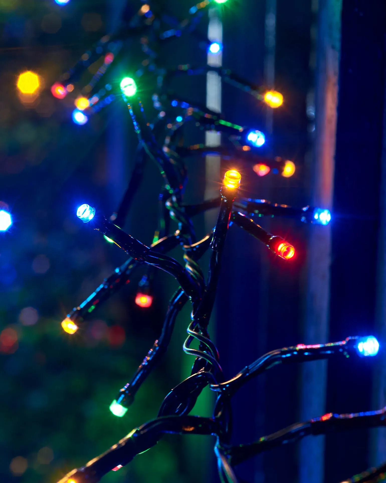 LINK UP LED Cluster Lights, Black Cable, Multi Colour