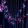 LINK UP LED Cluster Lights, Black Cable, Pink / White