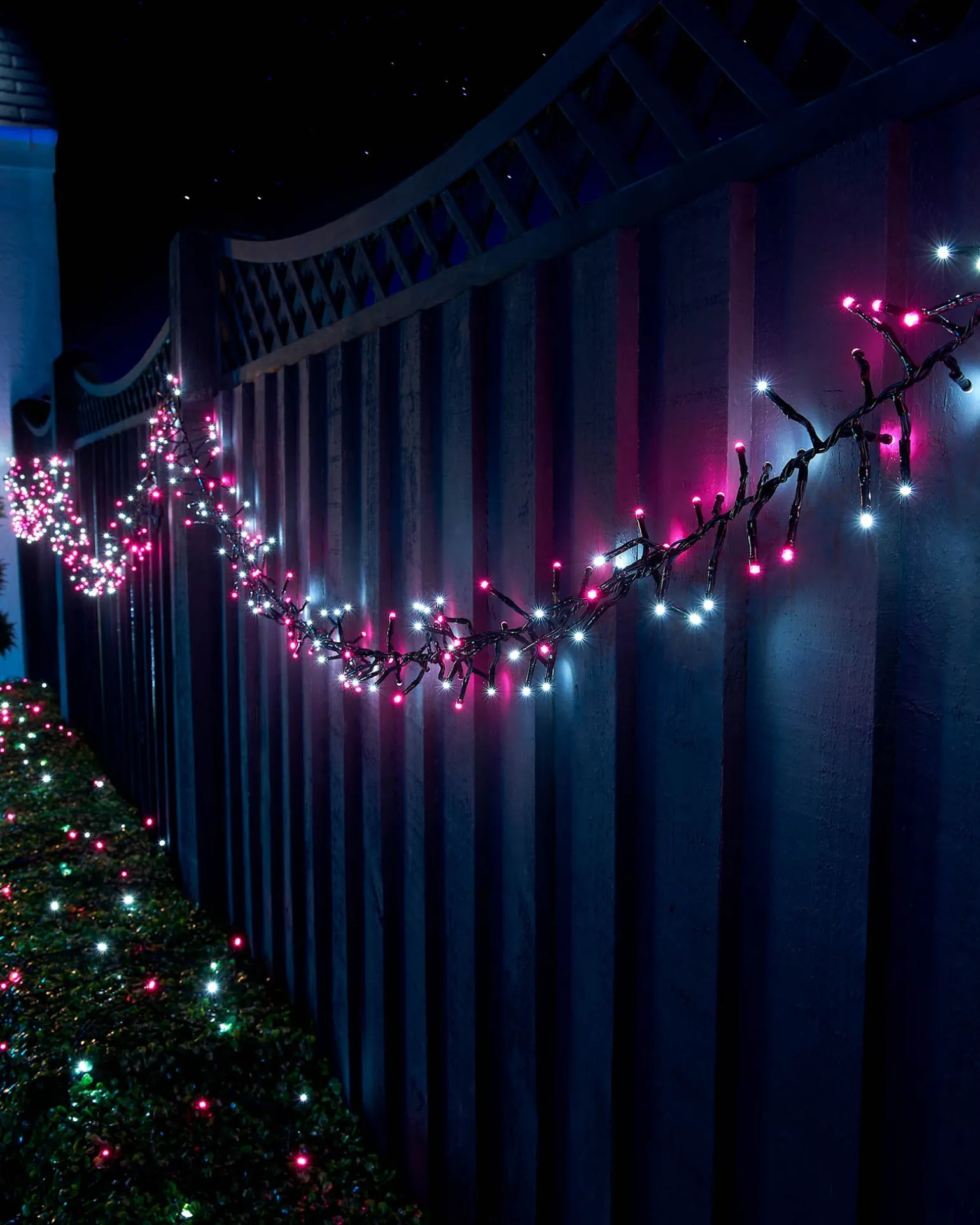 LINK UP LED Cluster Lights, Black Cable, Pink / White