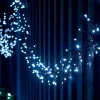 LINK UP LED Cluster Lights, Black Cable, White