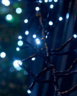 LINK UP LED Cluster Lights, Black Cable, White