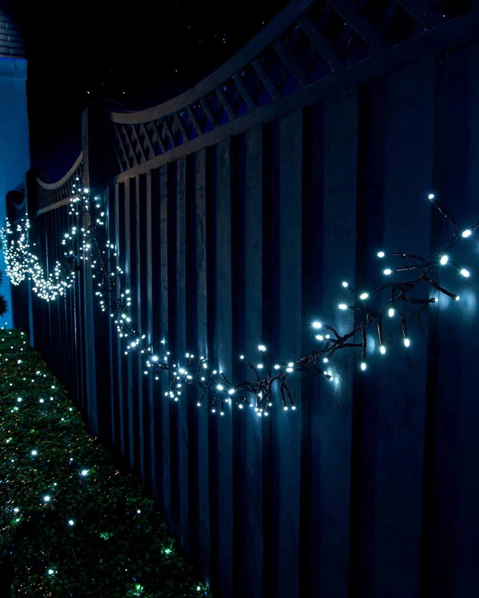 LINK UP LED Cluster Lights, Black Cable, White