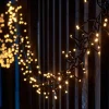 LINK UP LED Cluster Lights, Black Cable, Warm White