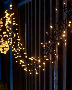 LINK UP LED Cluster Lights, Black Cable, Warm White