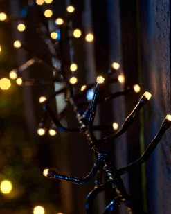 LINK UP LED Cluster Lights, Black Cable, Warm White