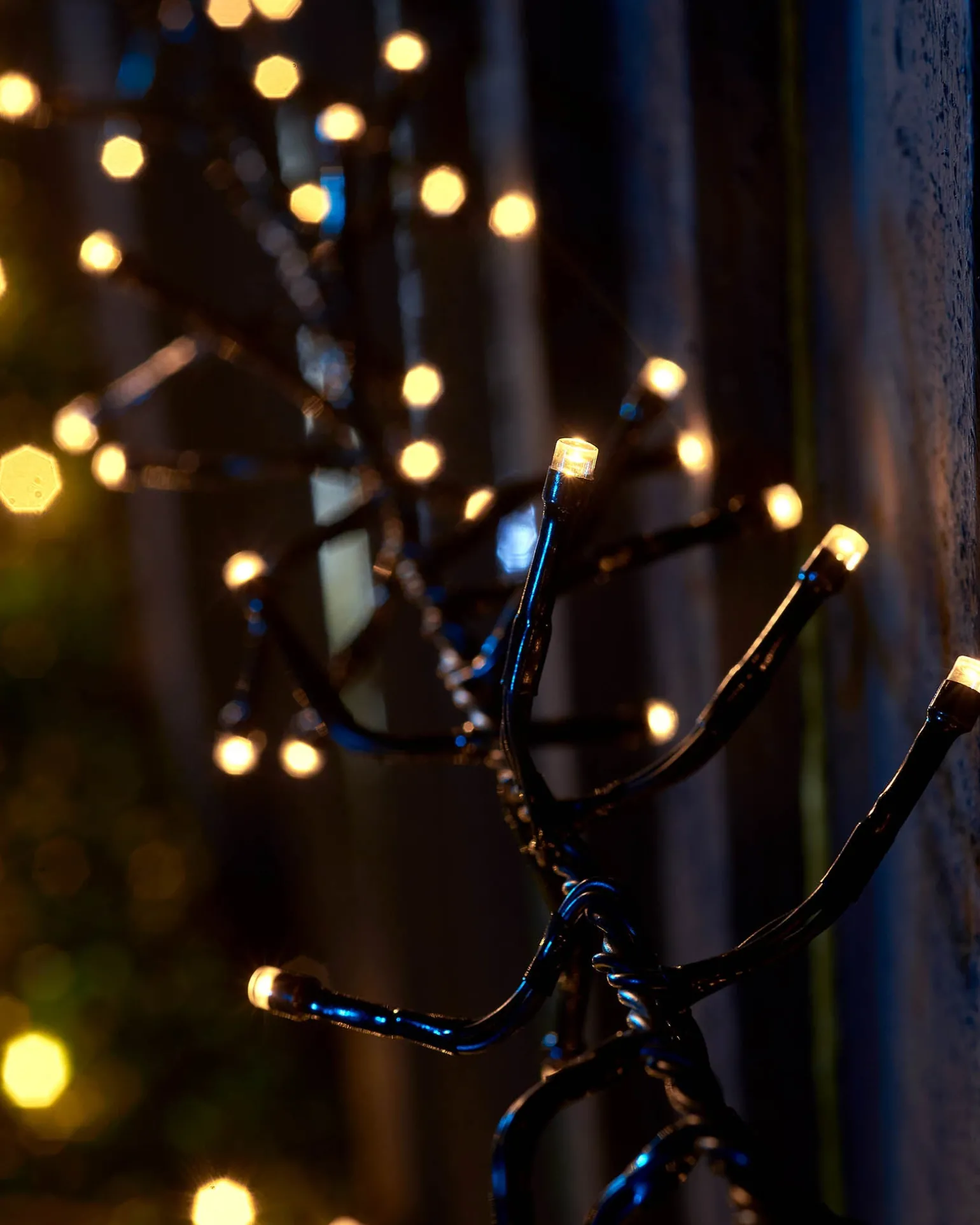 LINK UP LED Cluster Lights, Black Cable, Warm White