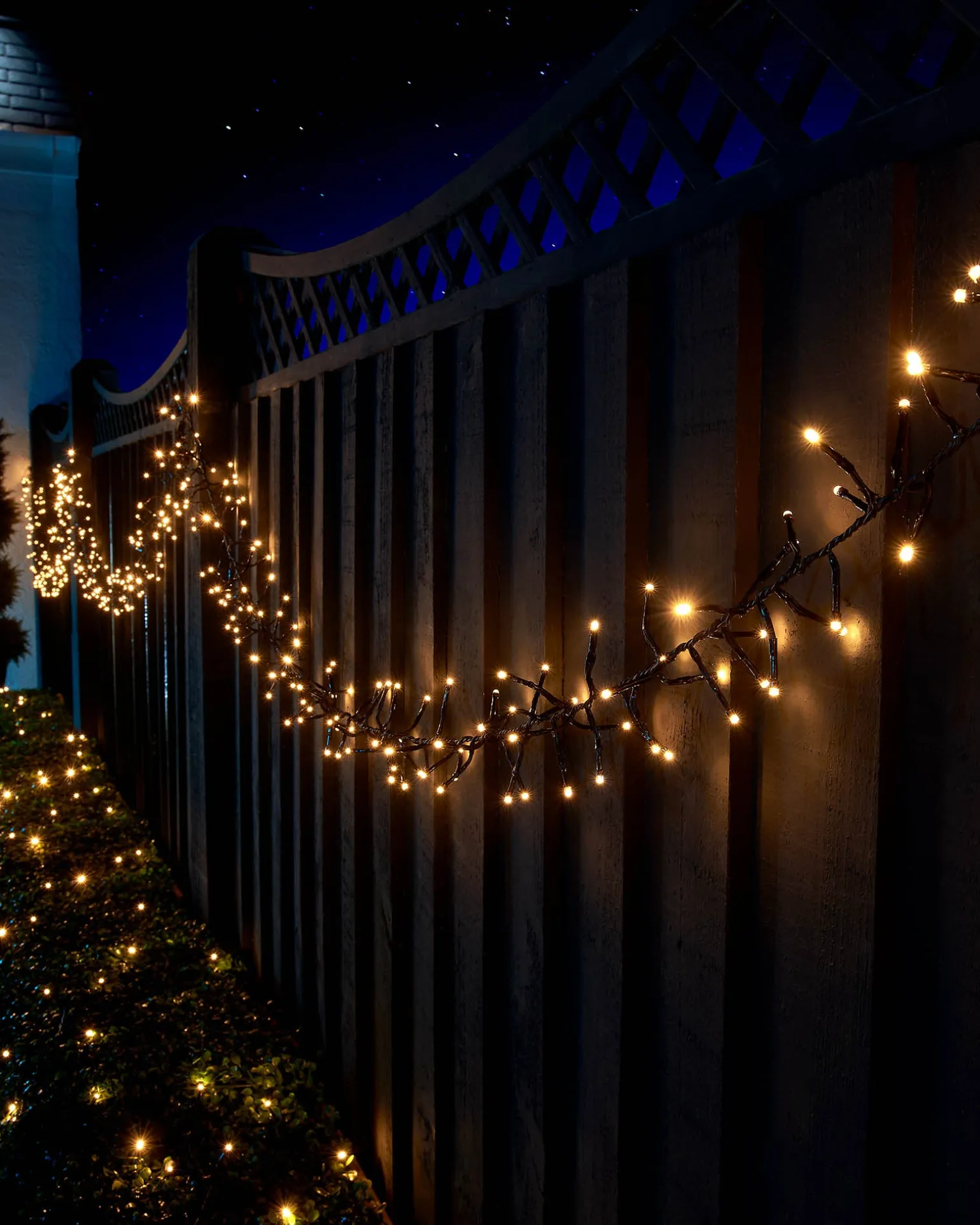 LINK UP LED Cluster Lights, Black Cable, Warm White