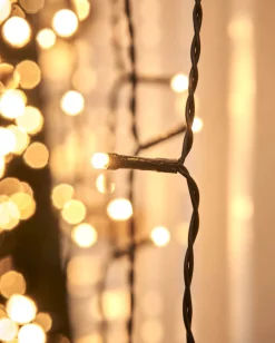 LINK UP LED Curtain Lights, Black Cable, 2 M X 2.5 M, Warm White