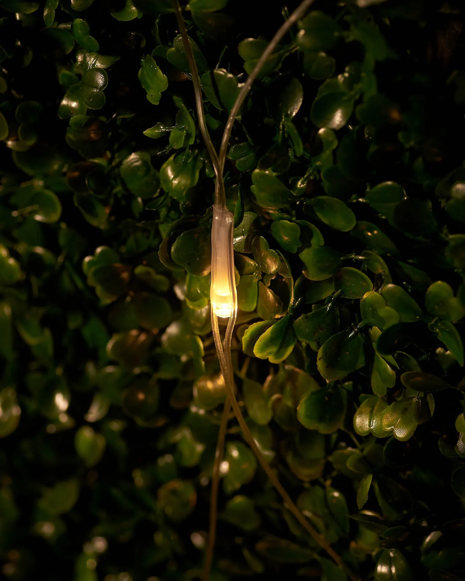 LINK UP LED Net Lights, 3 M X 3 M, Warm White