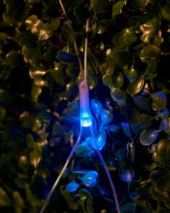 LINK UP LED Net Lights, 3 M X 3 M, Multi Colour
