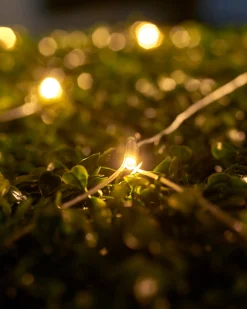 LINK UP LED Net Lights, 2 M X 2 M, Warm White
