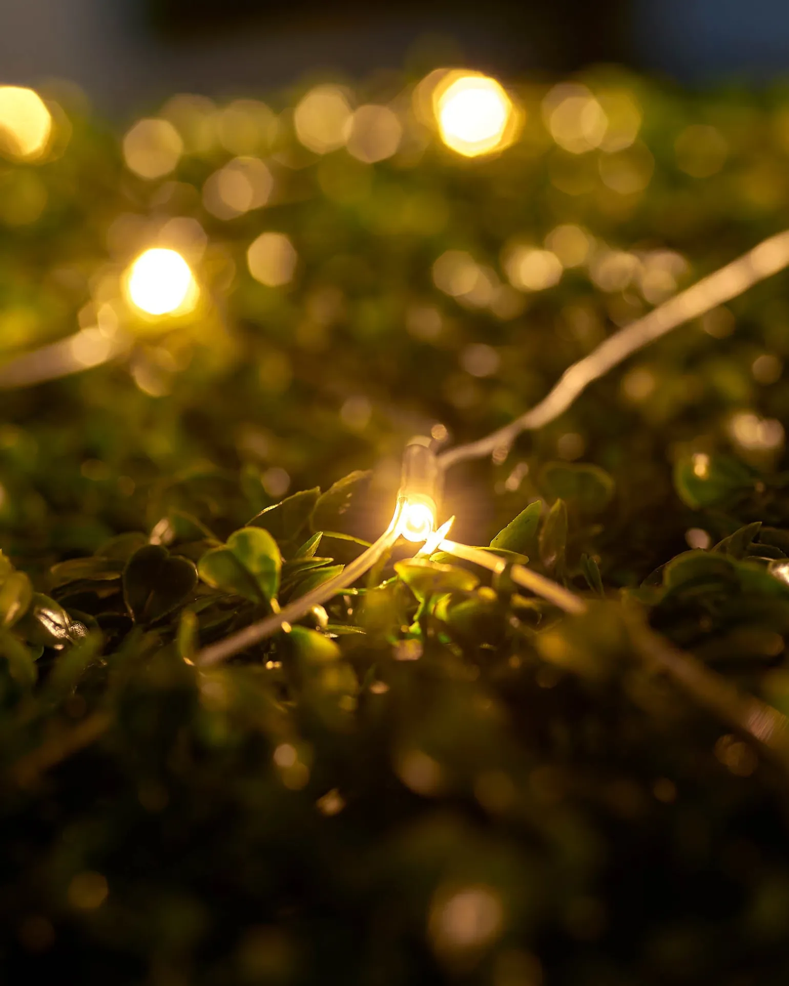 LINK UP LED Net Lights, 2 M X 2 M, Warm White