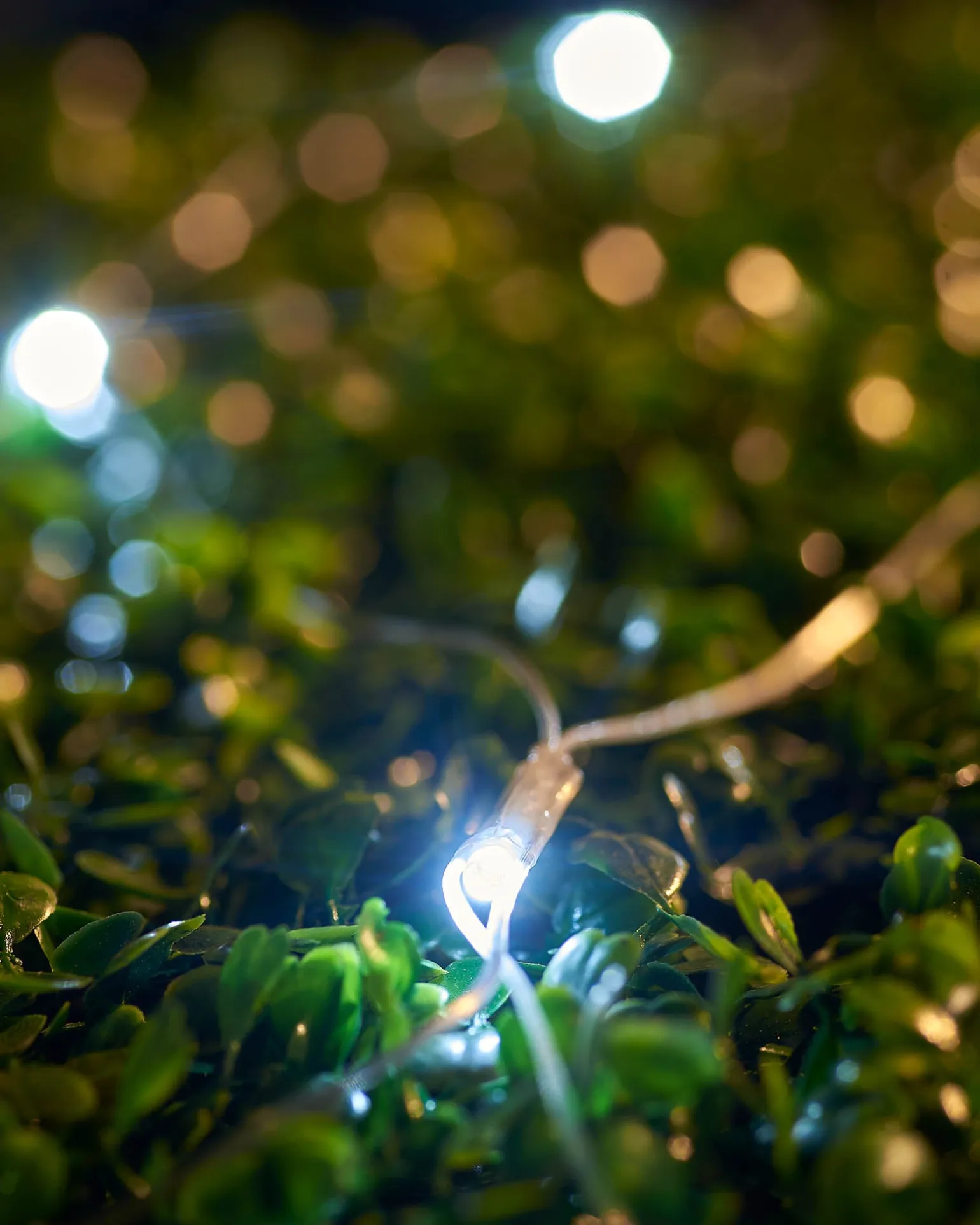LINK UP LED Net Lights, 2 M X 2 M, White