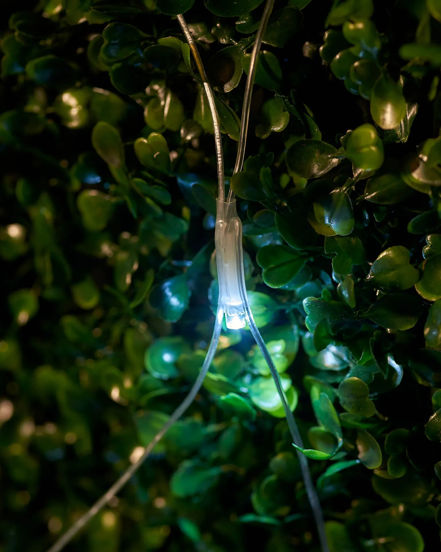 LINK UP LED Net Lights, 2 M X 2 M, White
