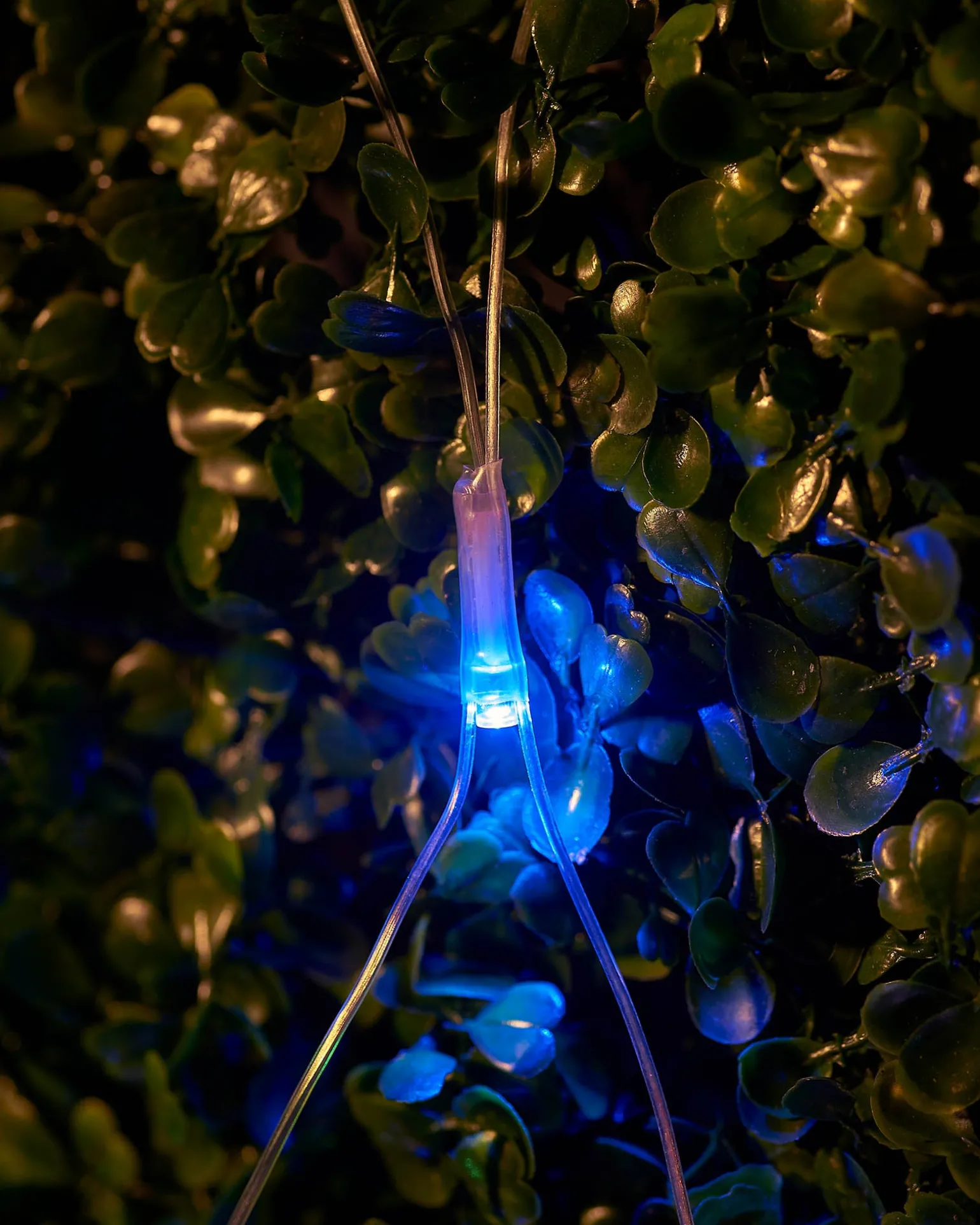 LINK UP LED Net Lights, 2 M X 2 M, Multi Colour
