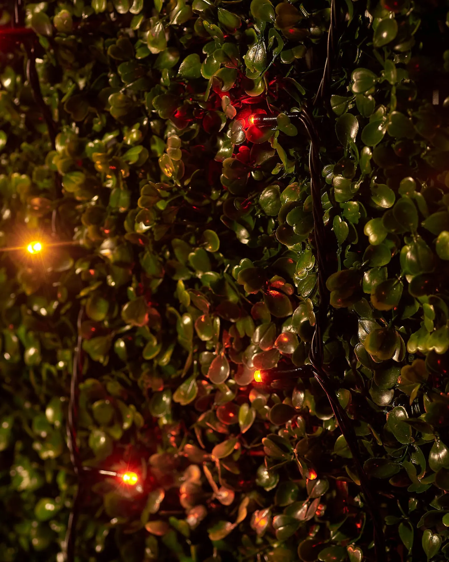 LINK UP LED String Lights, Black Cable, Autumn Colour