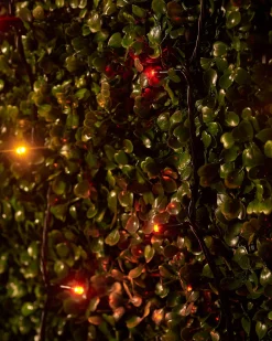 LINK UP LED String Lights, Black Cable, Autumn Colour