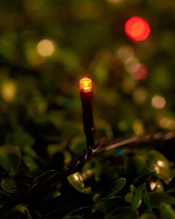 LINK UP LED String Lights, Black Cable, Autumn Colour