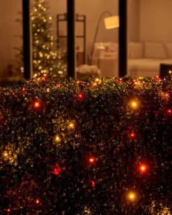 LINK UP LED String Lights, Black Cable, Autumn Colour