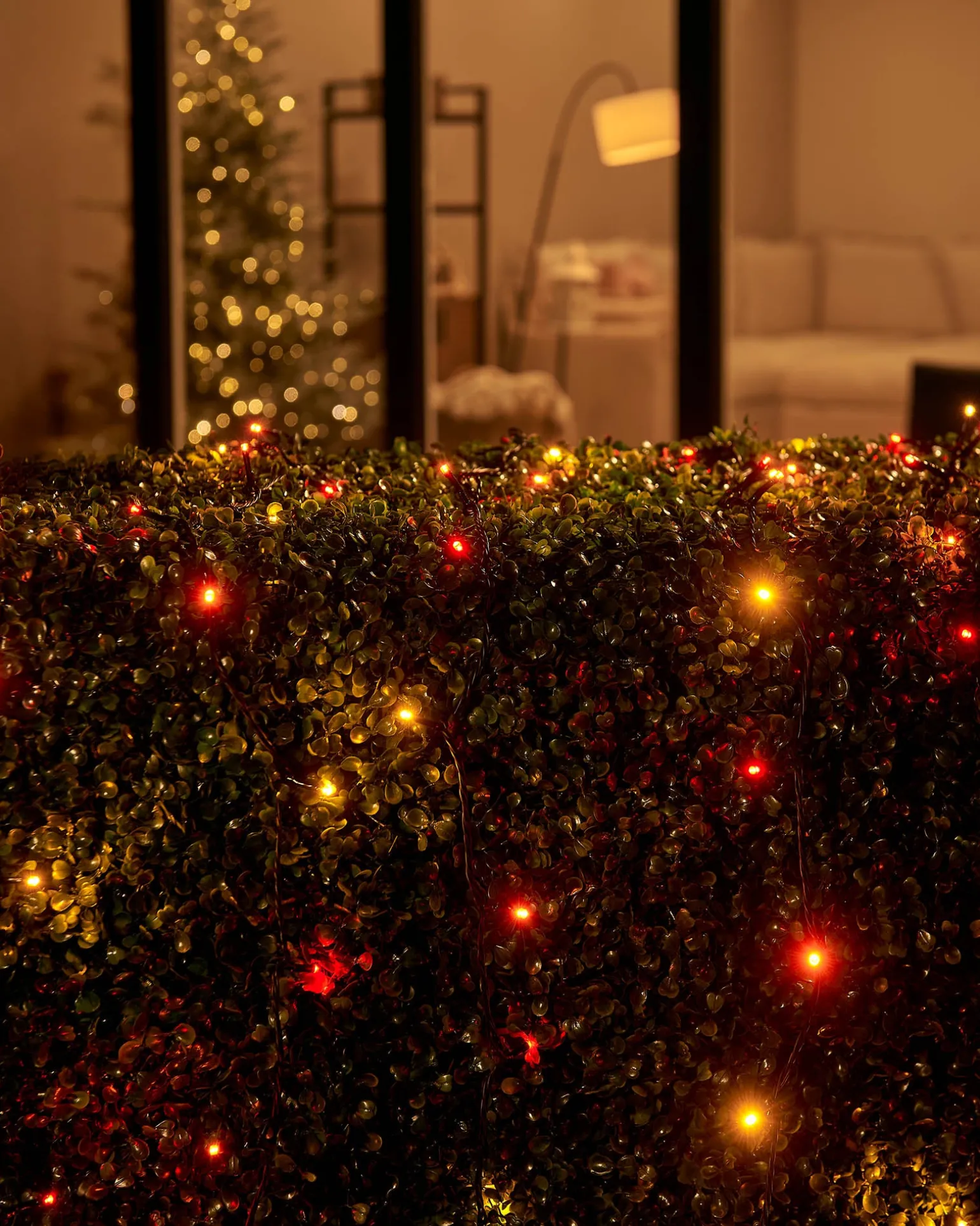 LINK UP LED String Lights, Black Cable, Autumn Colour