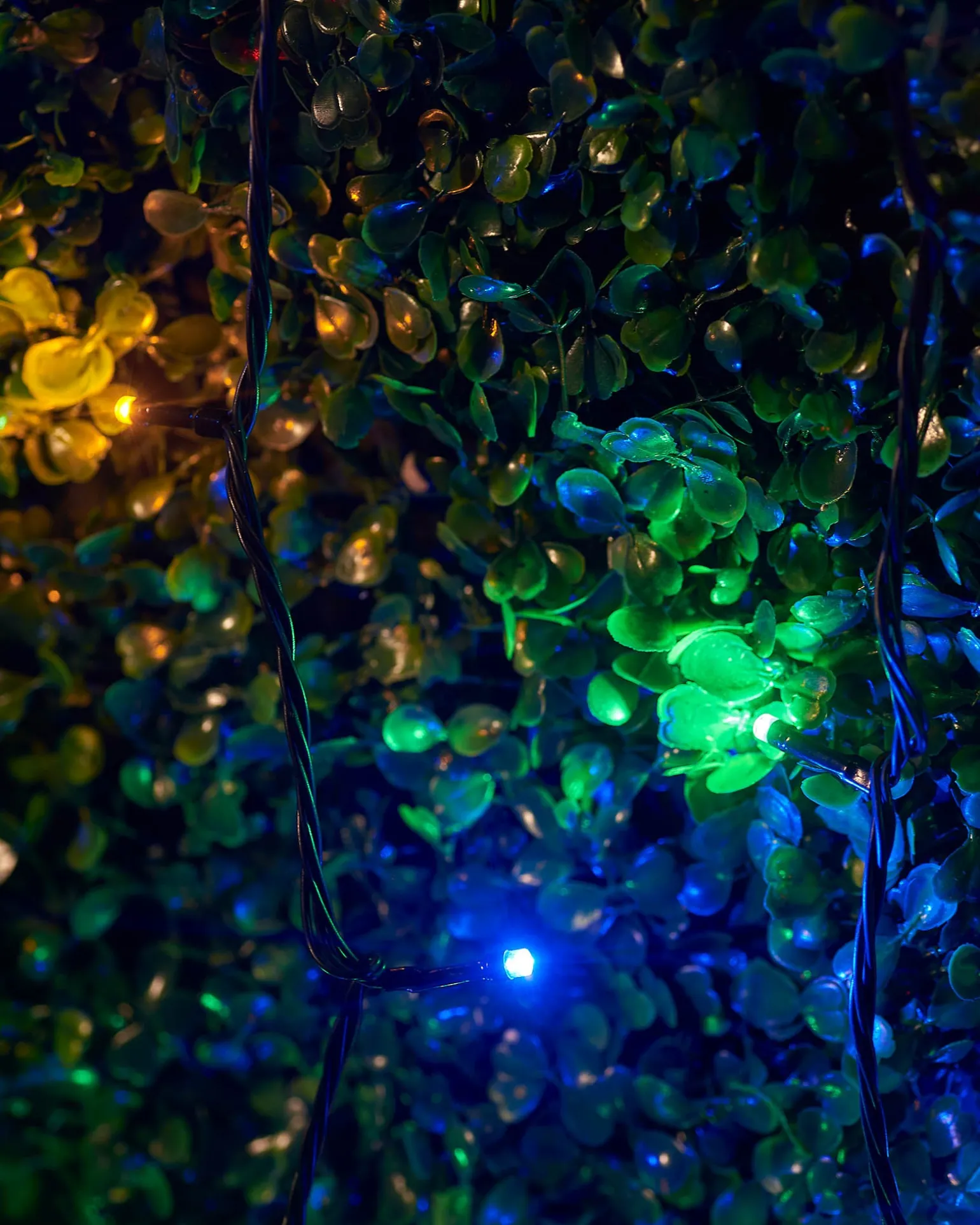 LINK UP LED String Lights, Black Cable, Multi Colour