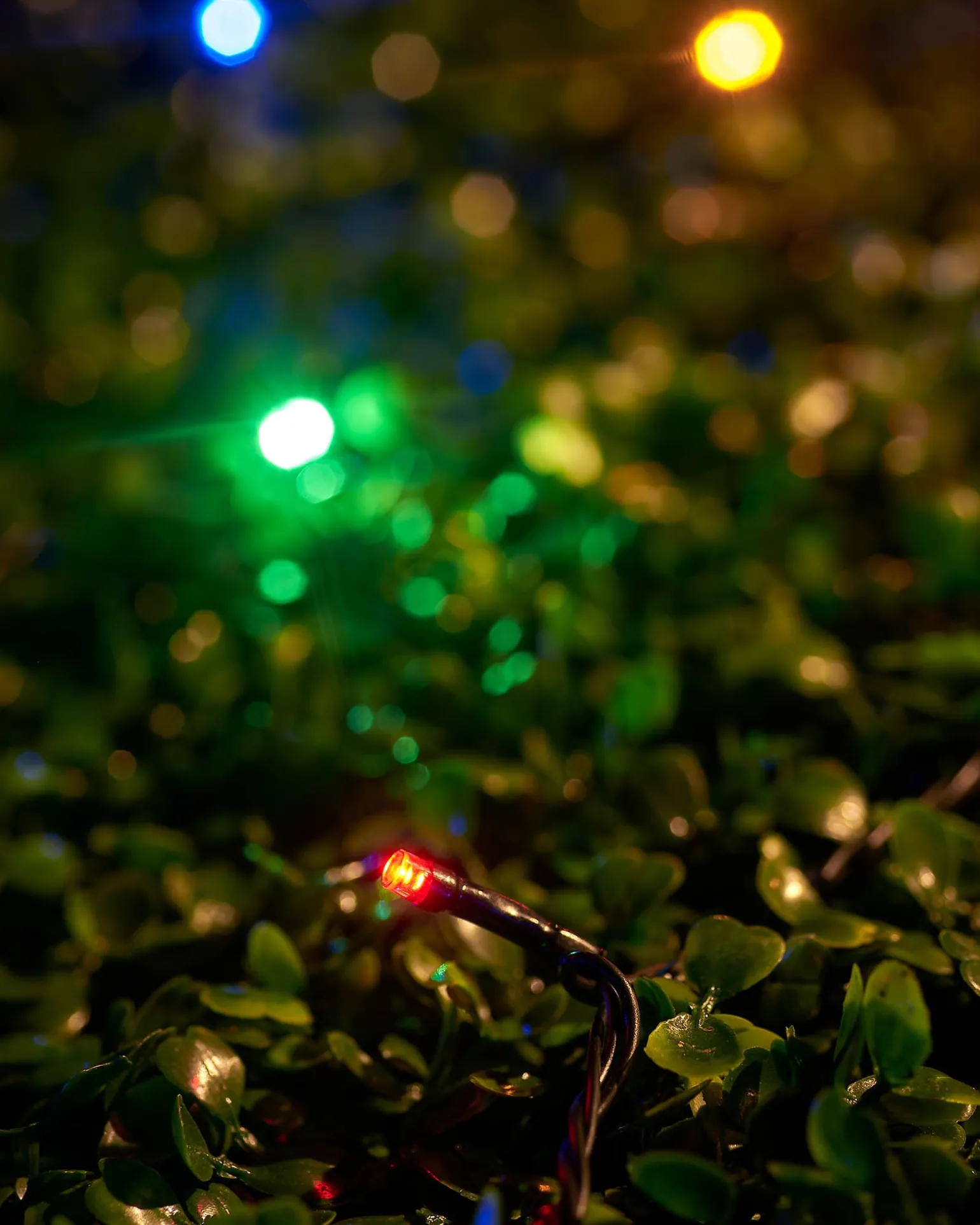 LINK UP LED String Lights, Black Cable, Multi Colour