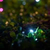 LINK UP LED String Lights, Black Cable, Pink / White