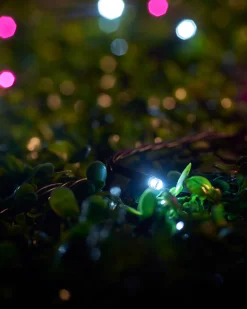 LINK UP LED String Lights, Black Cable, Pink / White