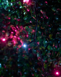 LINK UP LED String Lights, Black Cable, Pink / White