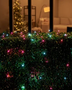LINK UP LED String Lights, Black Cable, Pink / White