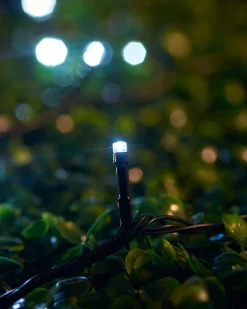 LINK UP LED String Lights, Black Cable, White
