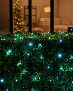 LINK UP LED String Lights, Black Cable, White