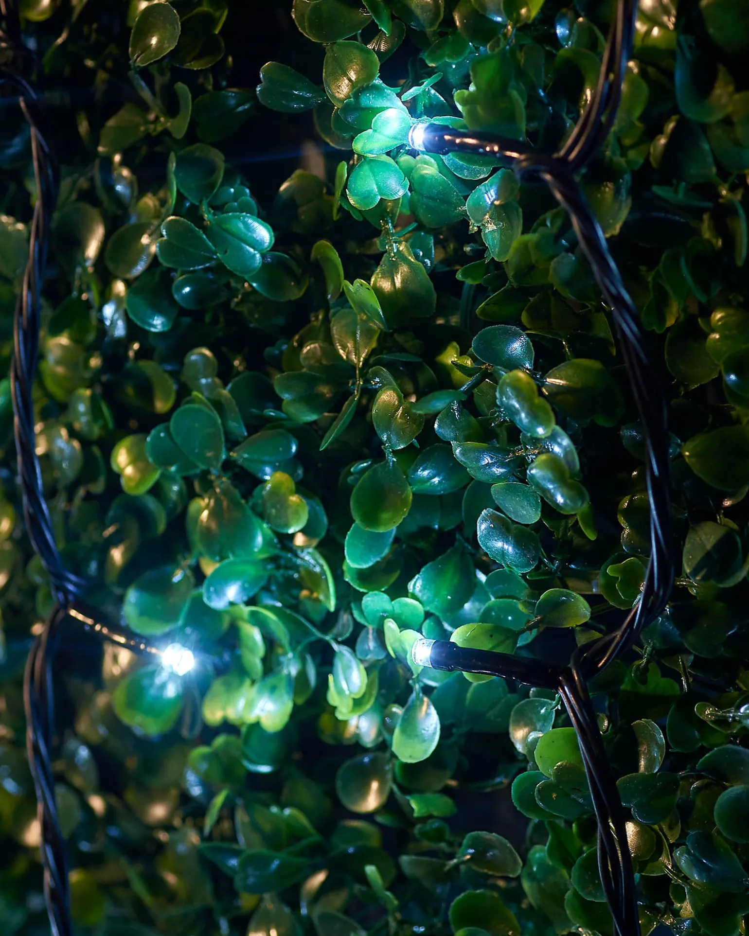 LINK UP LED String Lights, Black Cable, White