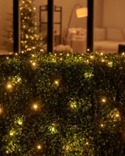 LINK UP LED String Lights, Black Cable, Warm White