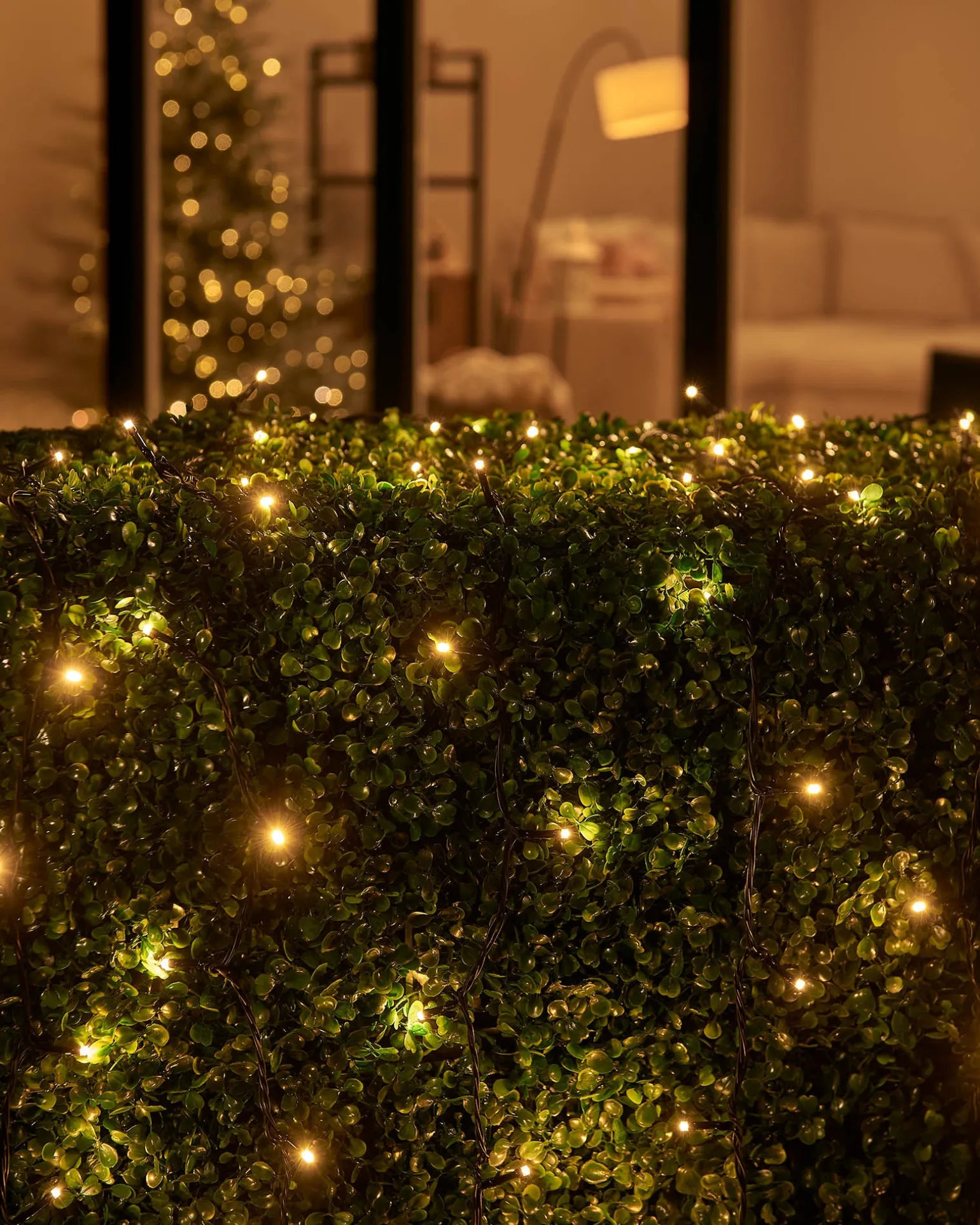 LINK UP LED String Lights, Black Cable, Warm White
