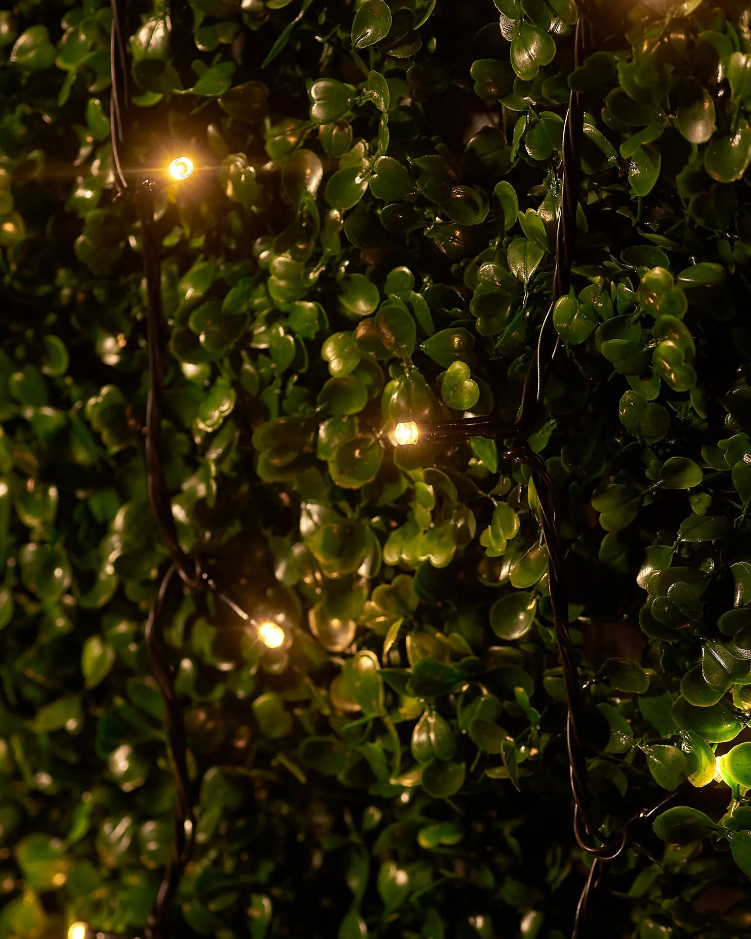 LINK UP LED String Lights, Black Cable, Warm White